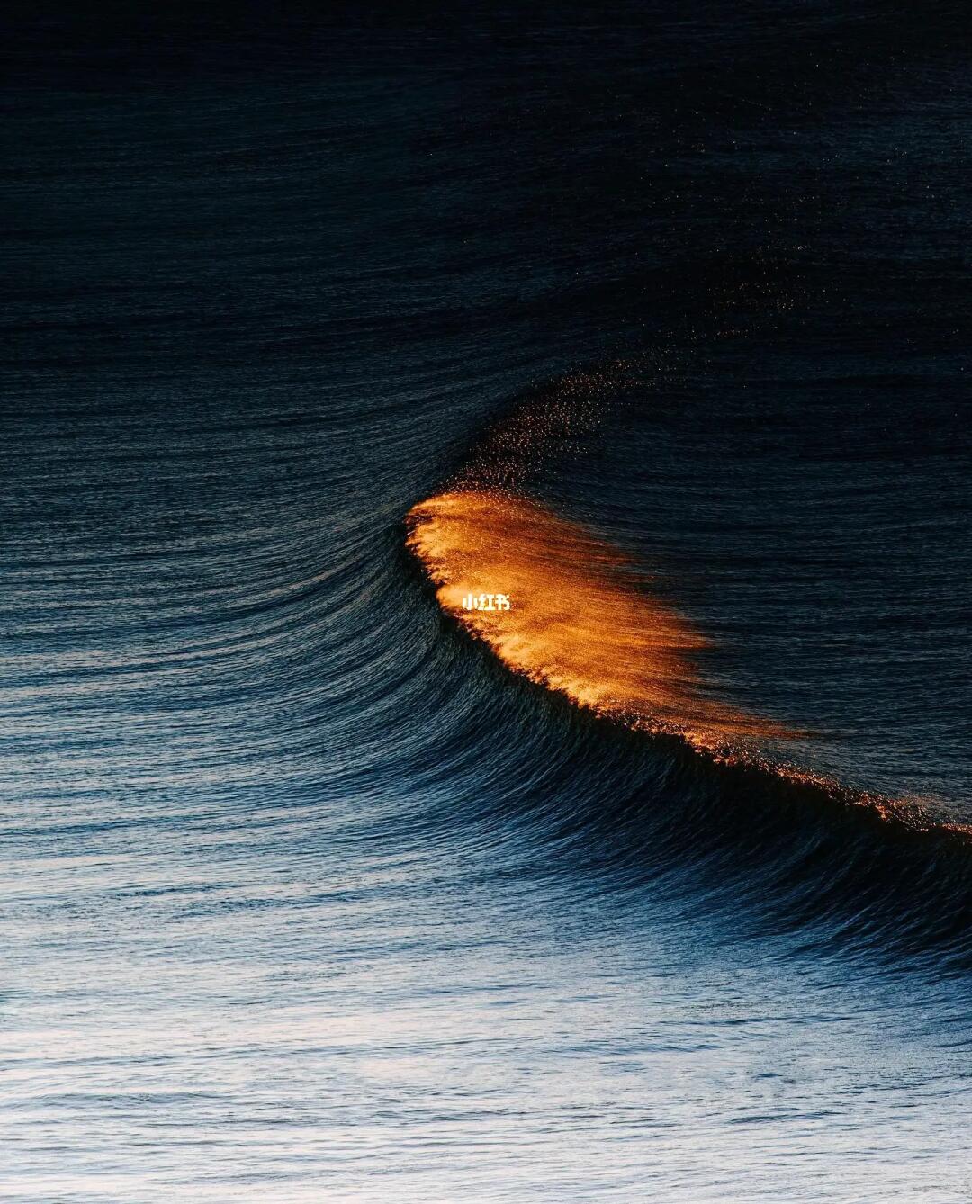 𝓘𝓷𝓯𝓲𝓷𝓲𝓽𝓮 𝓦𝓪𝓿𝓮