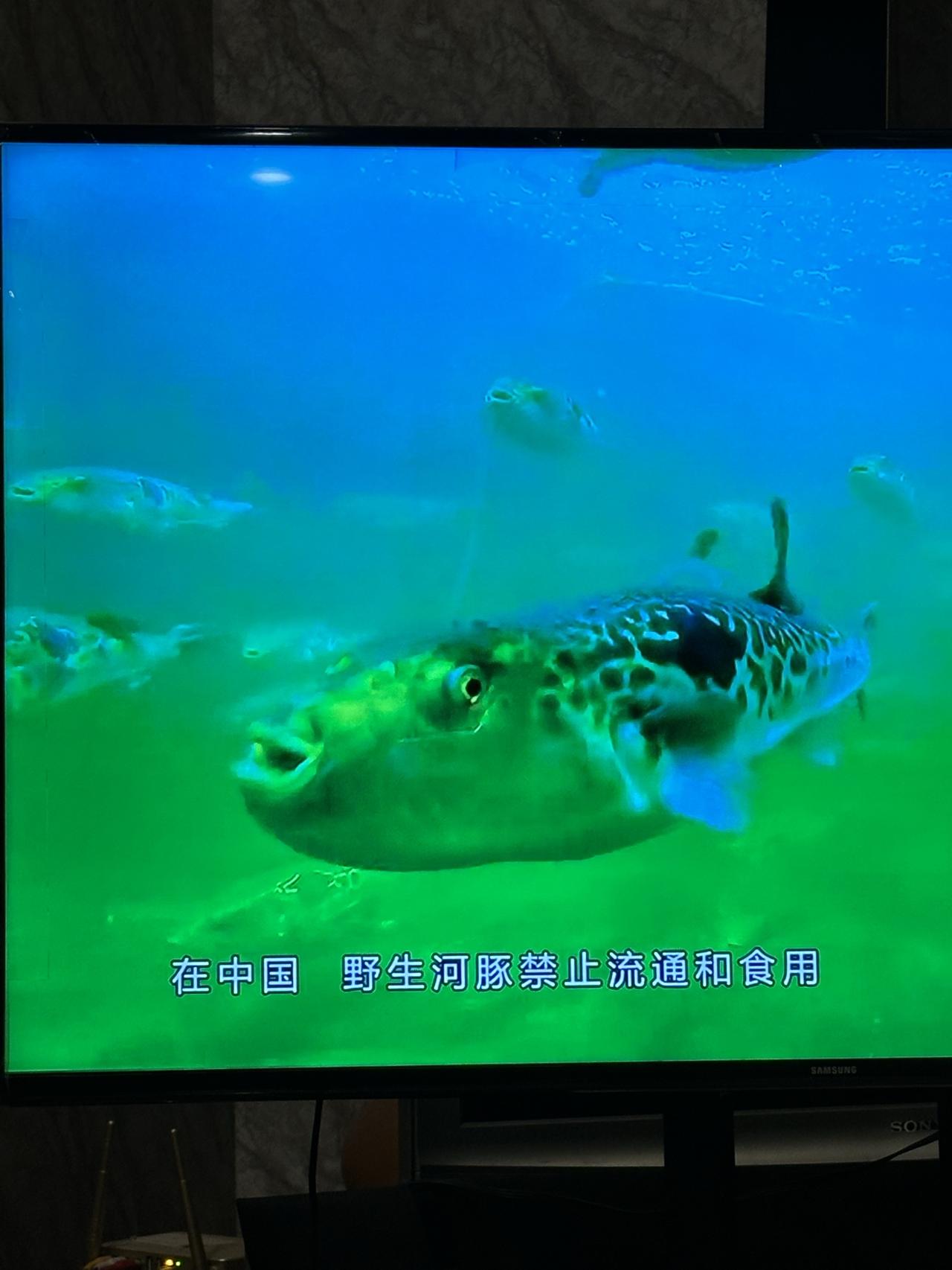 夏日生活打卡季