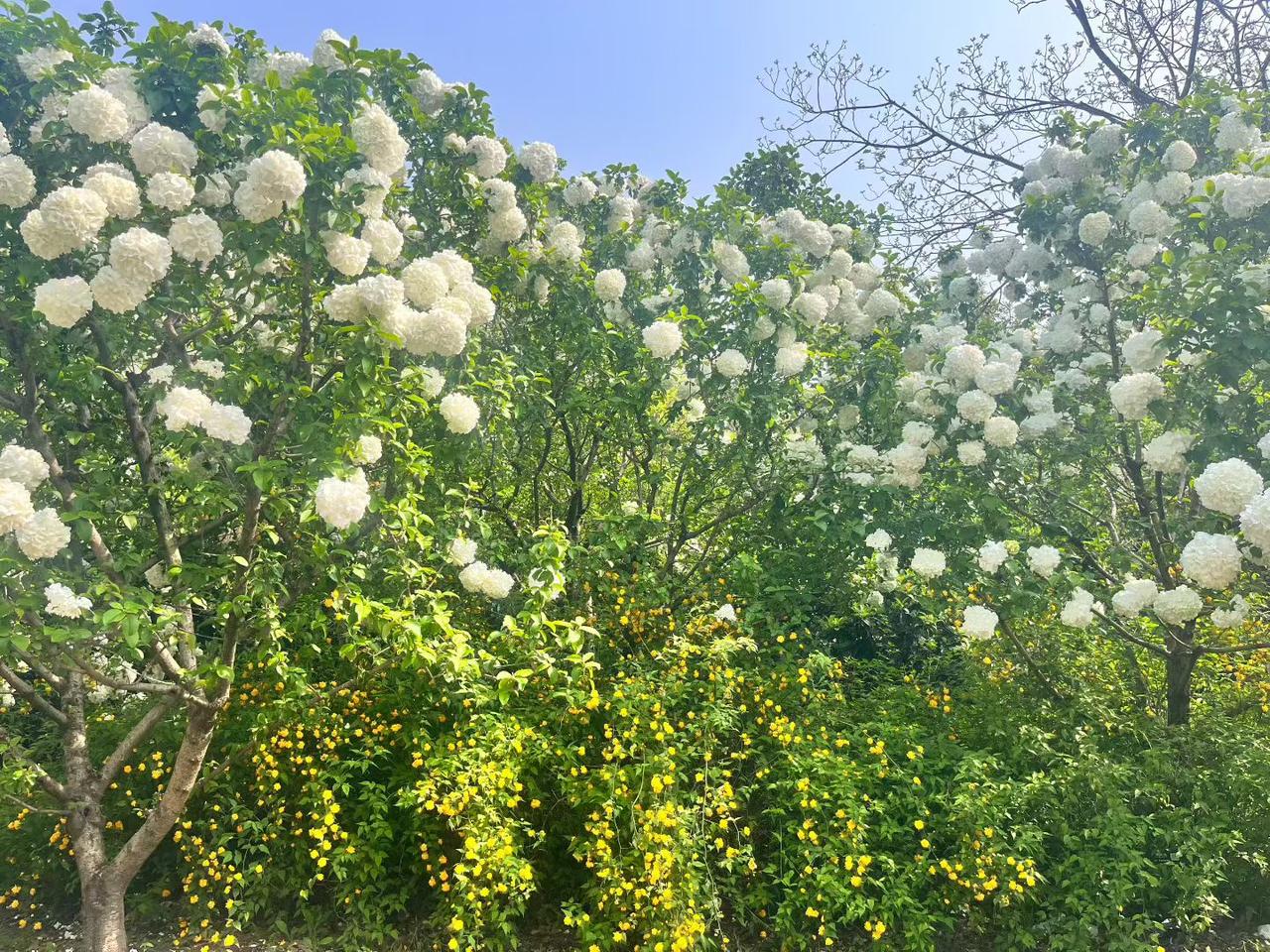 ☀️
美好的一天开始啦！

不争一时的高低，
只守内心的笃定。
把时间分给热爱，