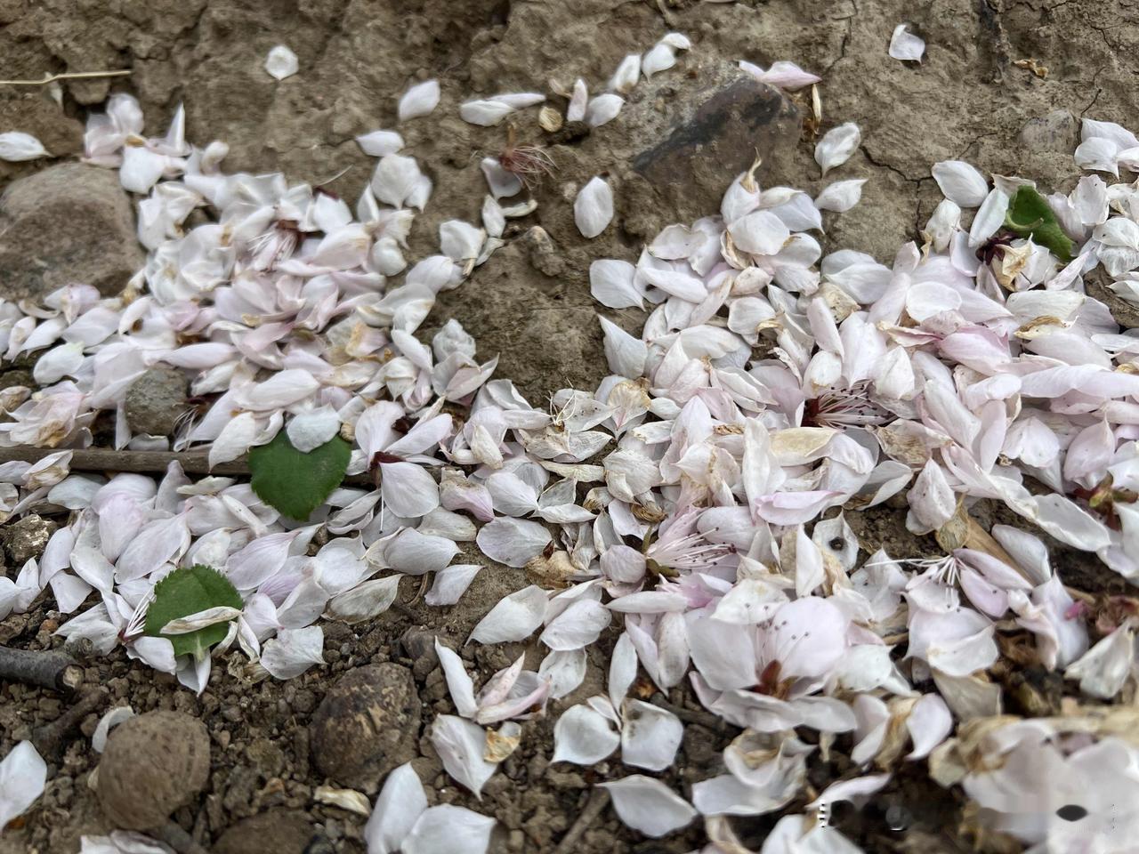 我听过的一个恐怖故事是这样的：
村里的某某特别爱耍钱（赌博）。
有一天，他在外村