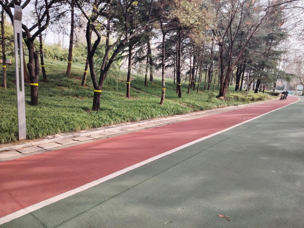 学校收费莫争辩，
大权独揽在校园。
社会若不给方便，
校长怎敢乱收钱？
家长若都