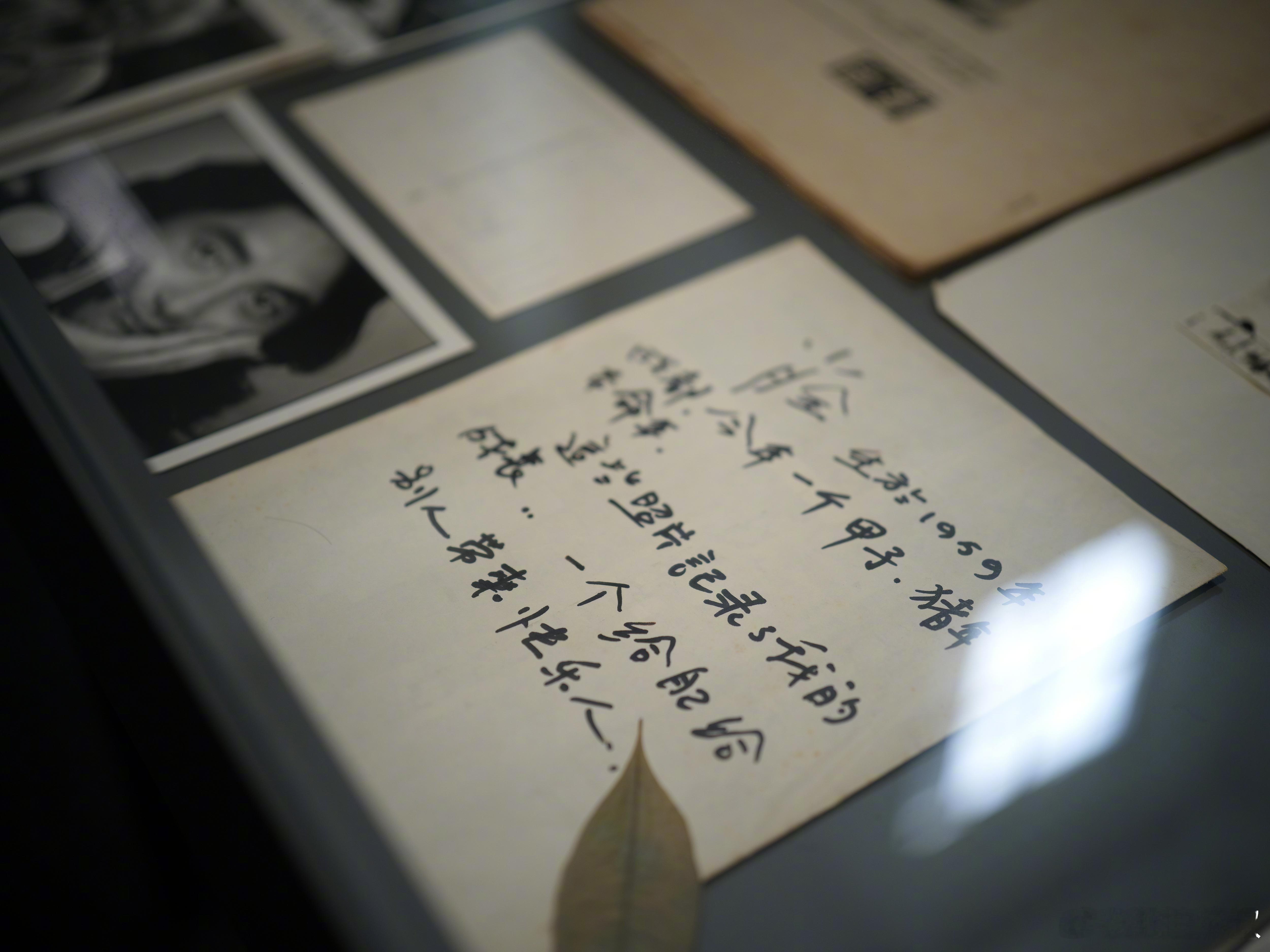 向肖老师学习努力成为“一个给自己给别人带来快乐的人”——观“莫干山纪：肖全镜头下