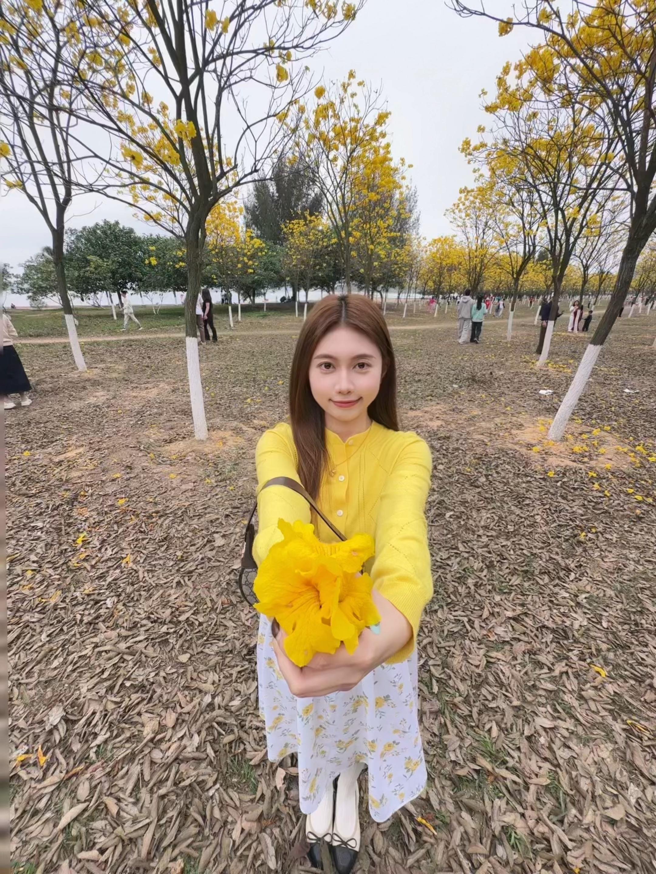 元宵喜乐🌼
