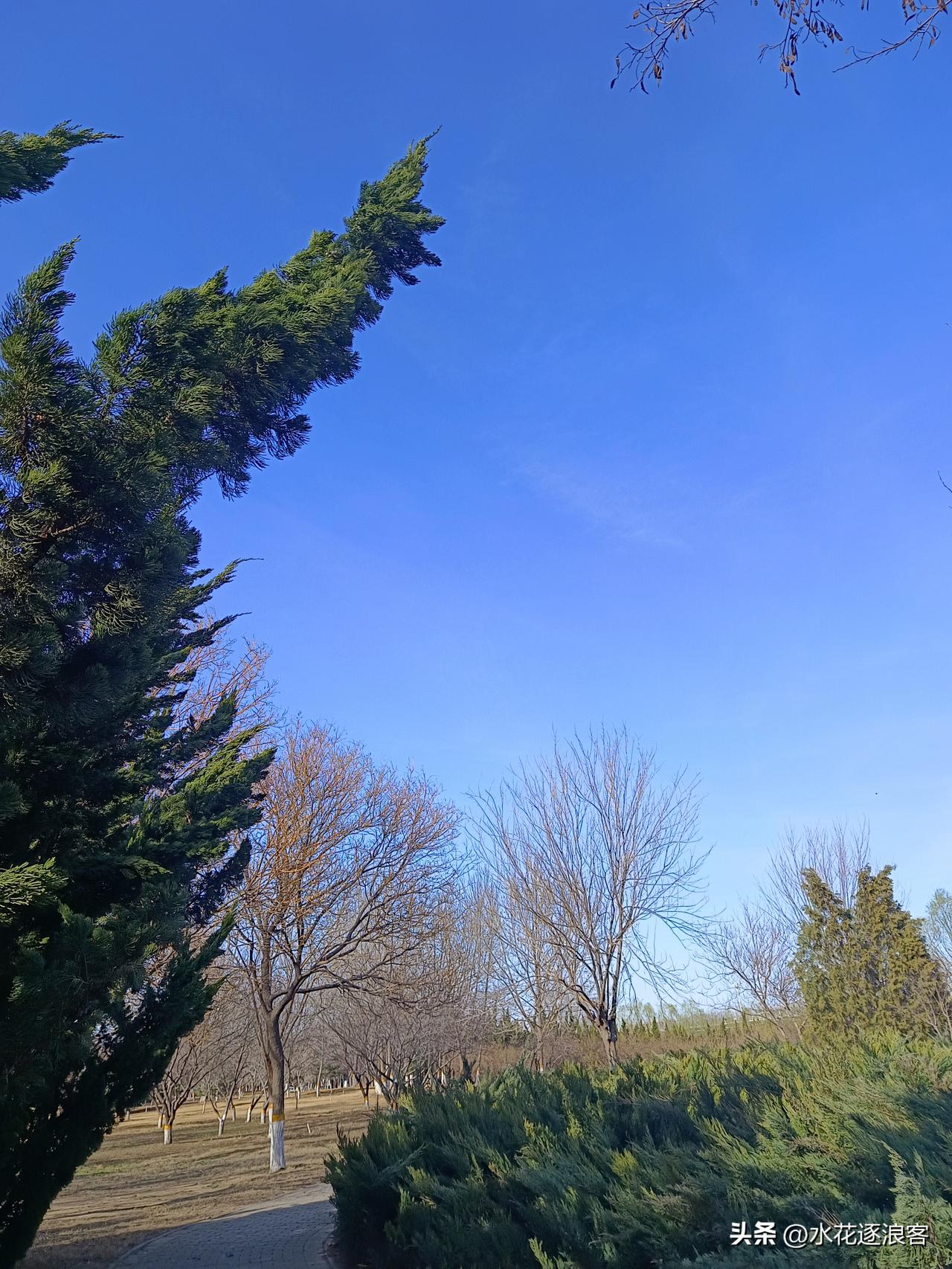 《春日暖阳》七律二首
[微风][微风][微风]
其一
东君送暖入千家，冰泮寒枝初