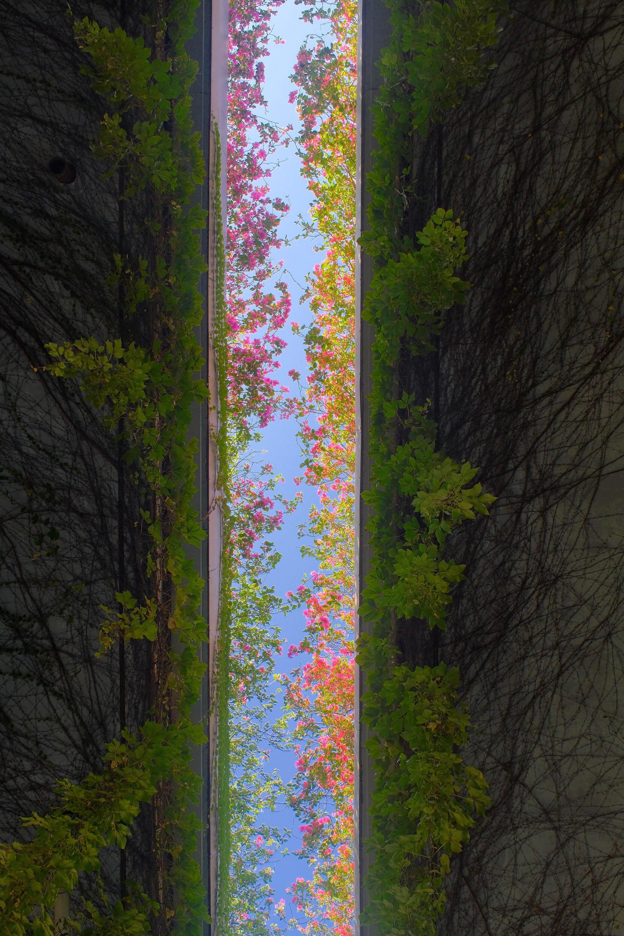 高架桥下的风景，真的有被惊艳到。。。 