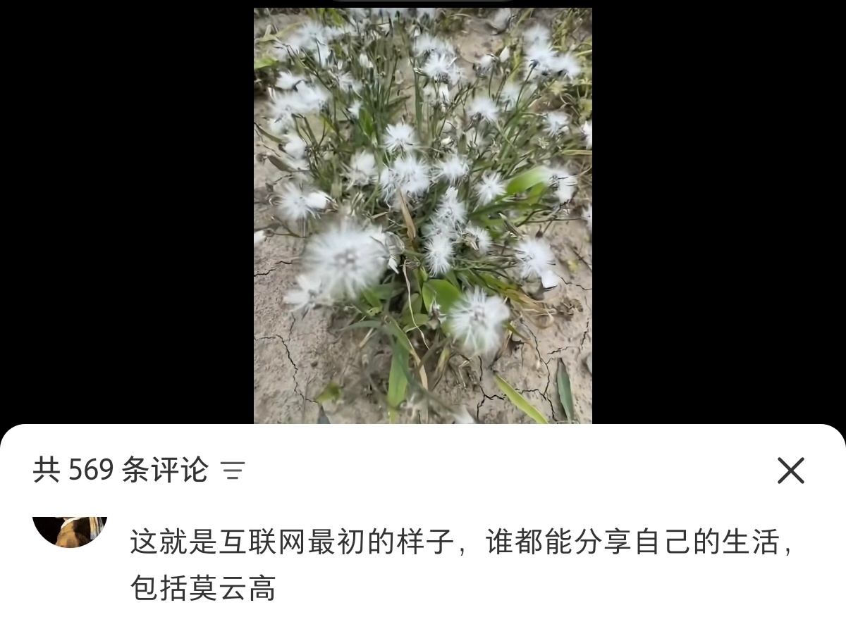 我笑得好崩溃 