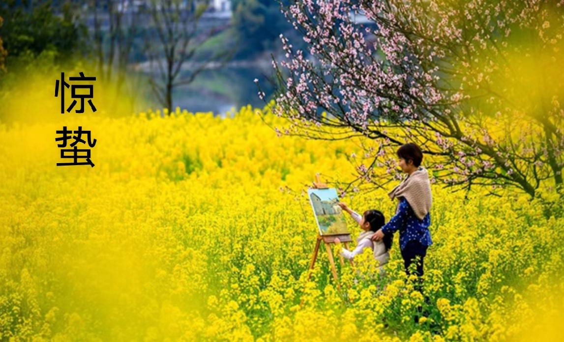 七律.惊蛰

二月春风细雨霏，农时节令不相违。
桃花绽蕾新姿艳，黄鸟鸣枝妙语稀。