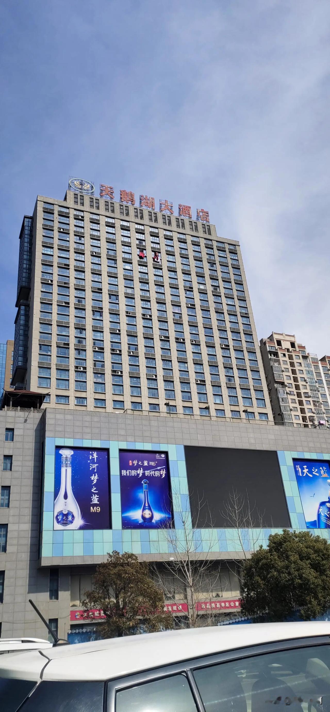 阜宁县城南#阜宁的美景# 天鹅湖大酒店上面挂的是啥？有啥说法？有没有大神懂的科普