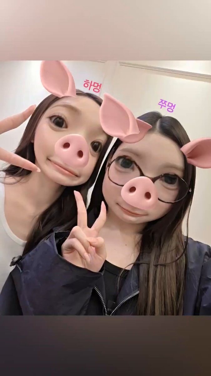 👾wvs moment两个小萌猪🐽 哈懵with主懵 