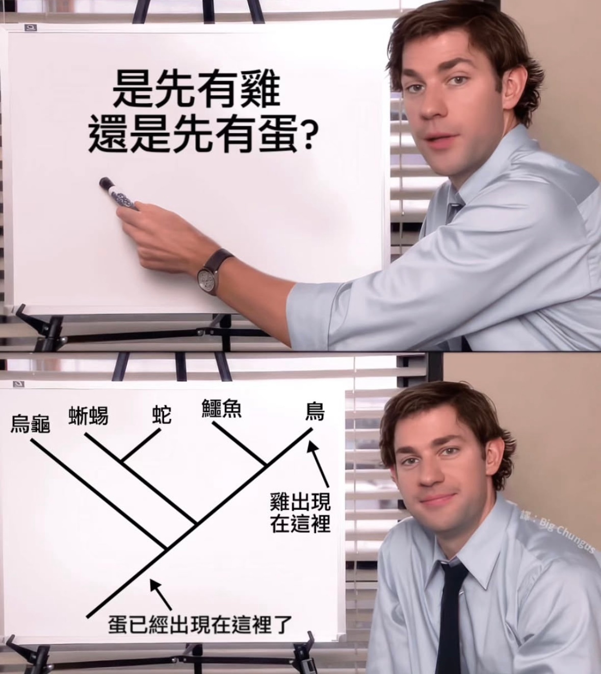 鸡和蛋问题已解决 