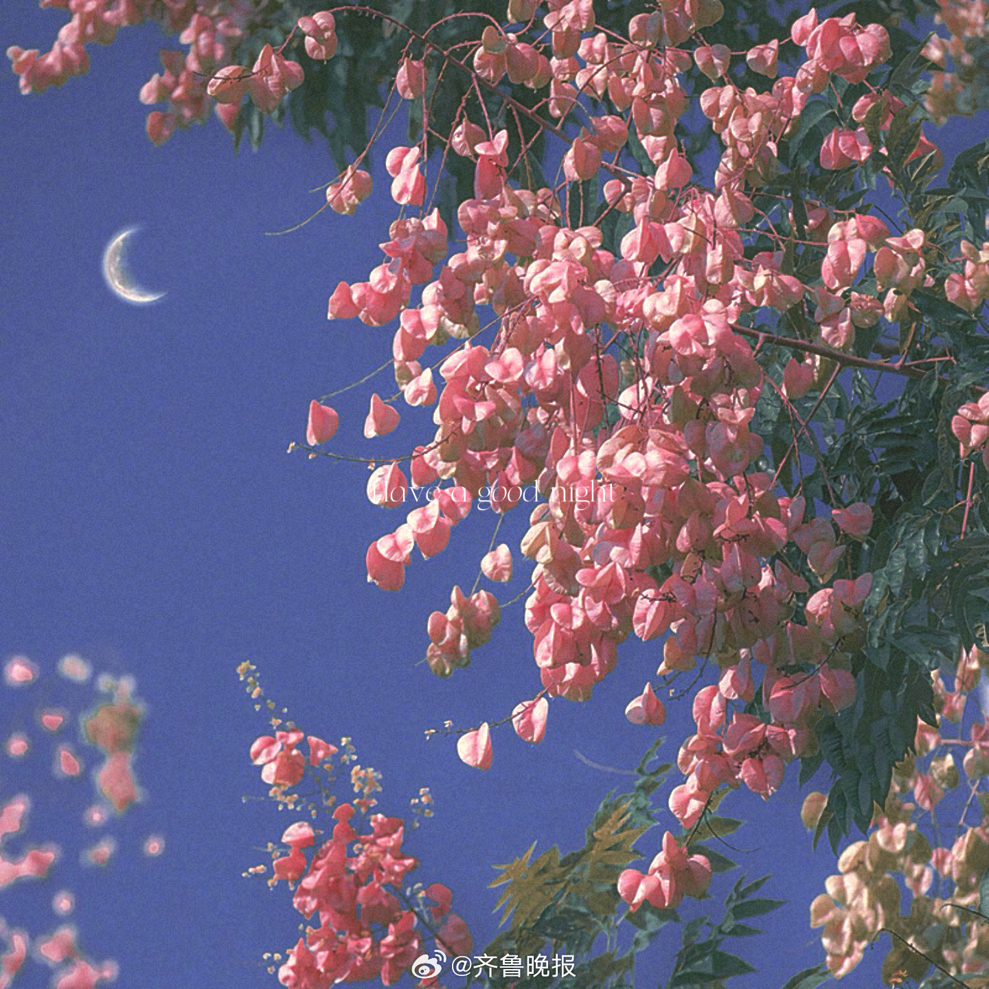 先成为自己的光再照亮想照亮的人#晚安#