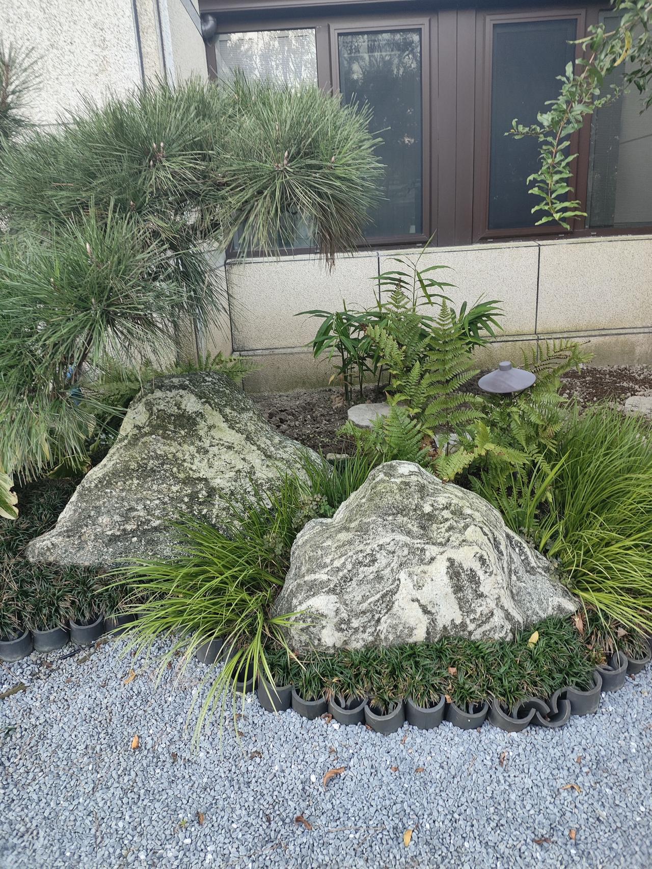 小区人家都有自己的风景

我们小区不是很大，大概只有二三百户人家，如果要说什么特