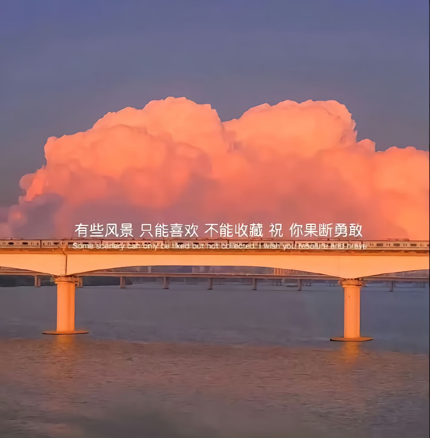 🌱𝐠𝐫𝐨𝐰    “每一次低头，都是为了让头昂得更高。” 