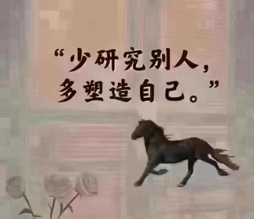  用你最好的磁场，去感召同磁场的人，落落大方，好好生活，远离那些让你不开心的人和