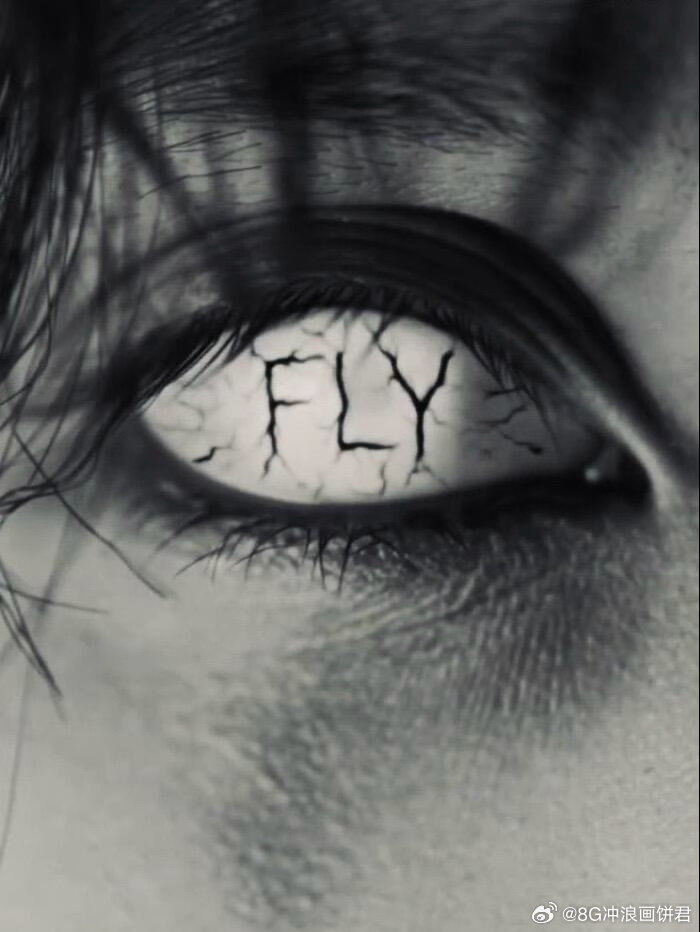 严浩翔fly不像楼曲 信鸽被困在盘中餐里，翅膀被绑在腿上成为负担。严浩翔《FLY