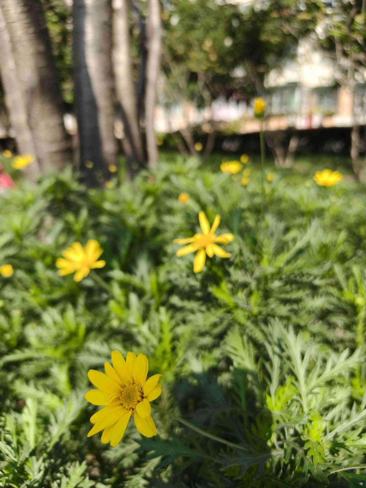 我的今日状态：🏝️旅行度假
我这里的天气：☀️晴天