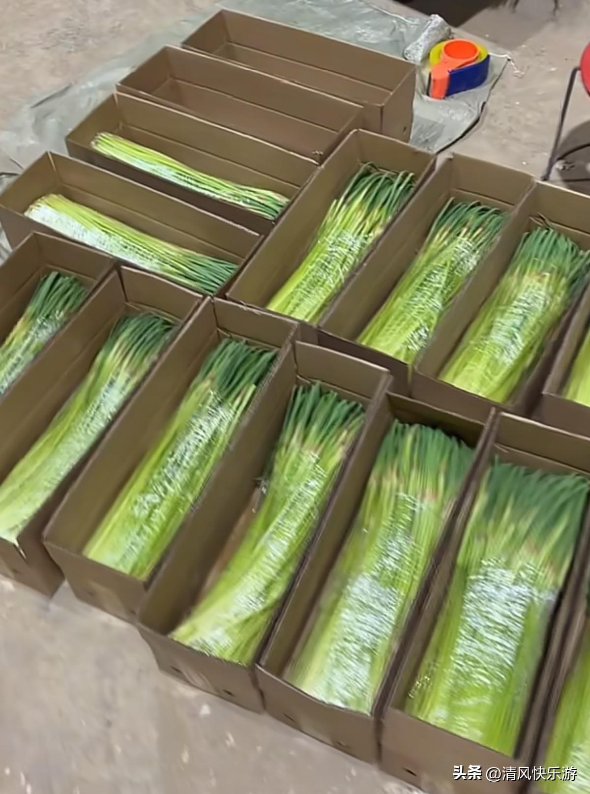 自己在家做电商到底卖什么？我看到这样的问题都觉得很低级，我就是一个人在家做电商，