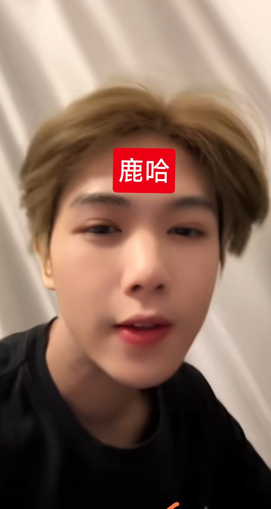 求鹿哈粉丝放过美女，好好搞你那一亩三分地儿，再不努力，连演唱会估计都开不起来了。