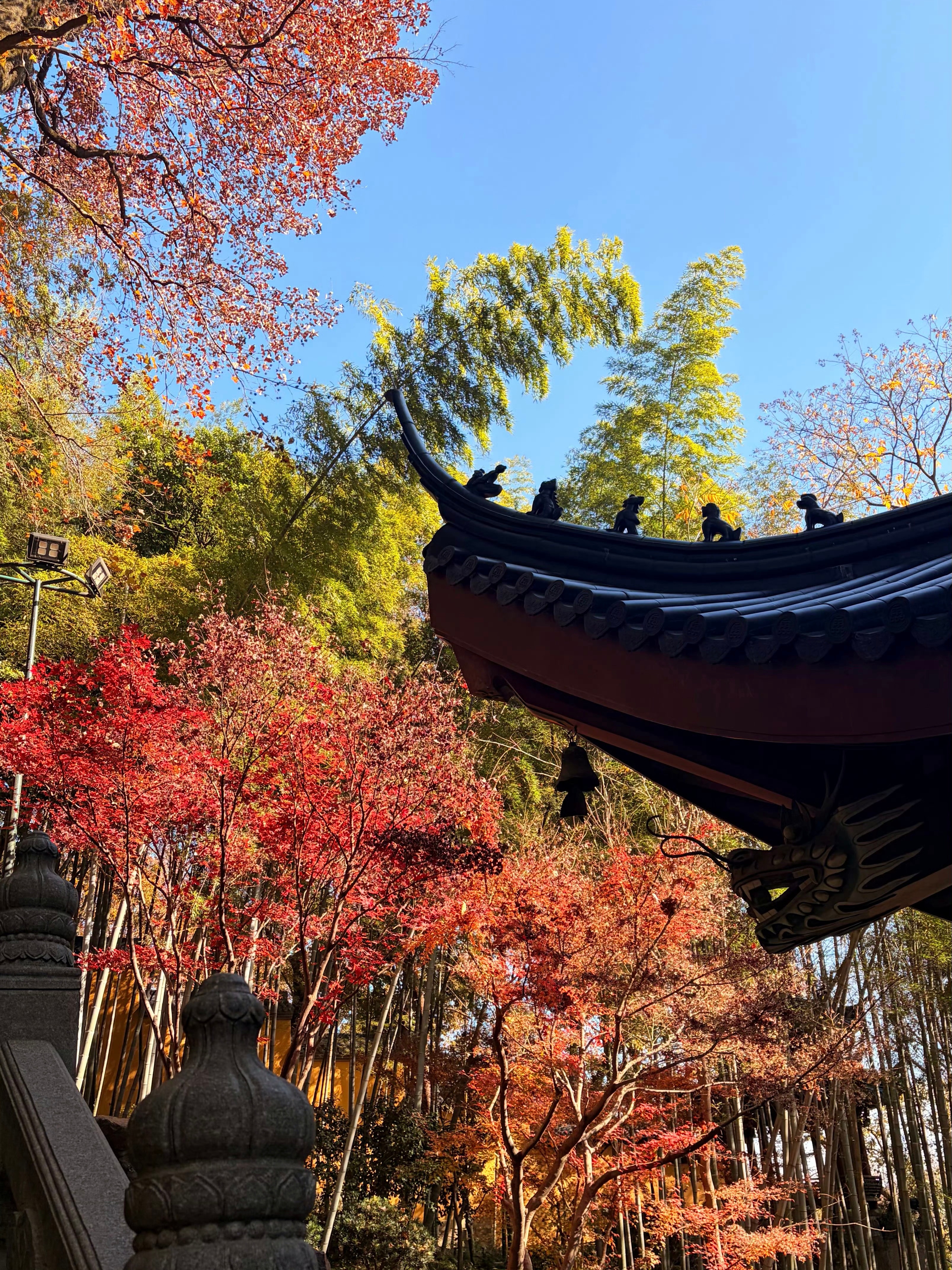 上一条说不要传私密照这事儿让我想起来一个个案恋爱期间，发现对象把家里摄像头拍下来