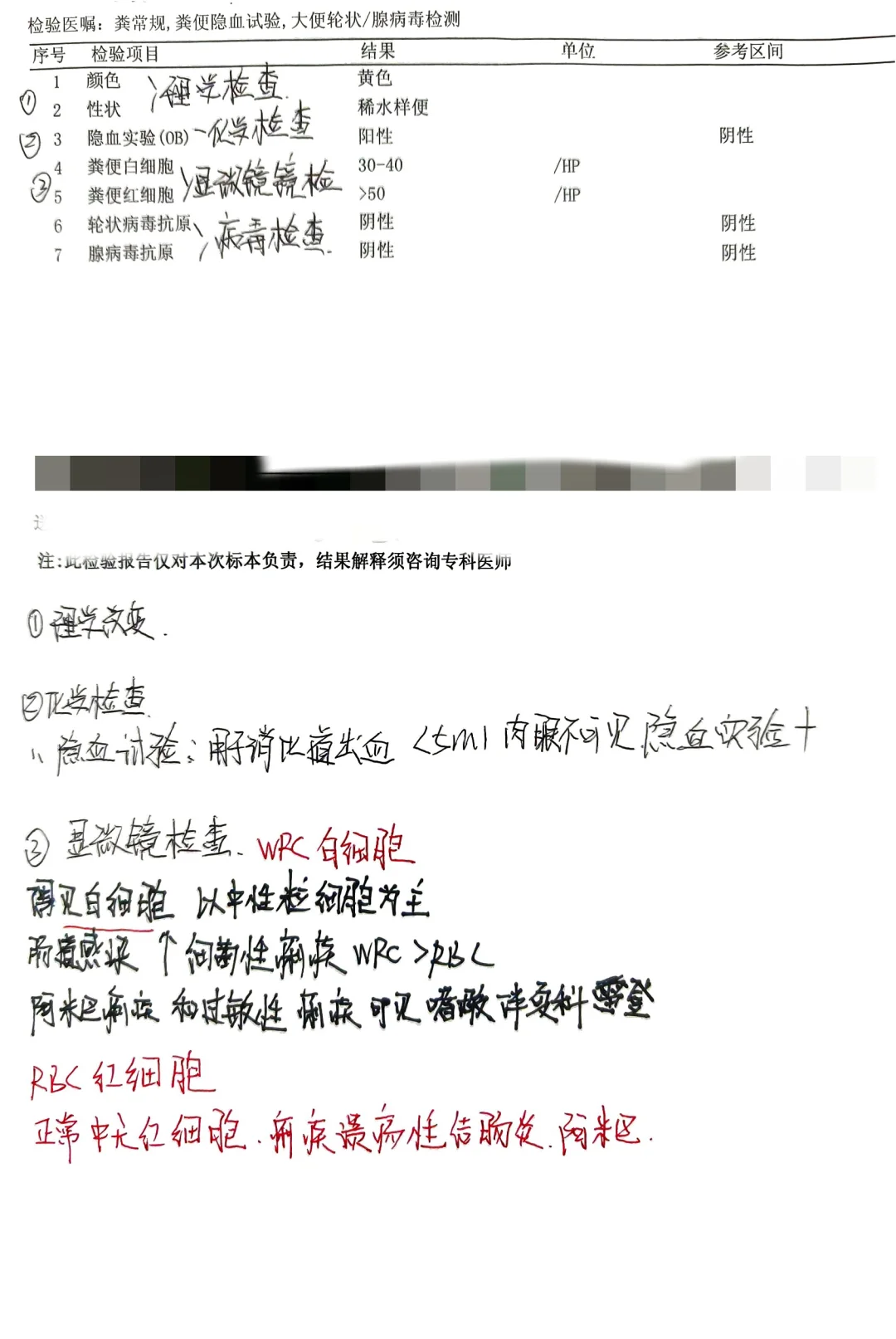 大便常规解读带镜检图谱
