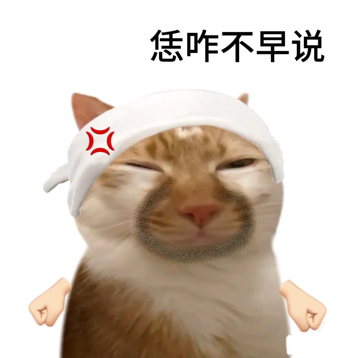 哈哈哈哈属于俺们老实人的猫猫表情包！！！这位老师儿太有梗了，昨晚我看着笑了半天，