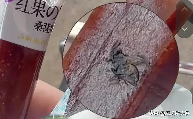 广东一男子网购山楂条吃出苍蝇，向平台索赔1000元，客服：可申请仅退款，并给10