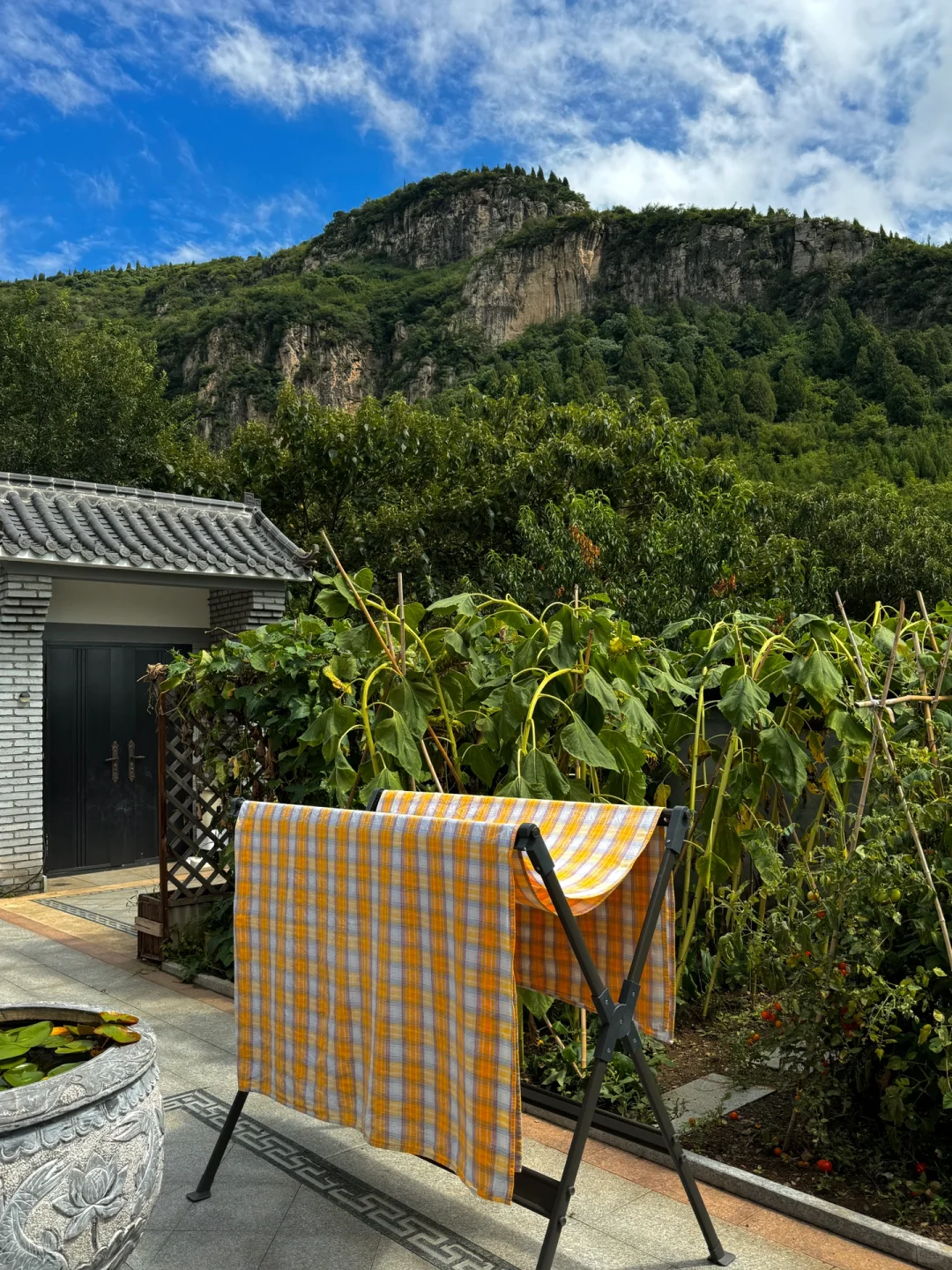 黄帝内经：女子在家静养是大补（身弱养脾篇）