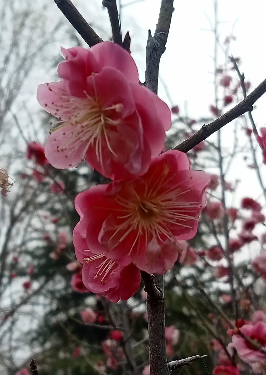 精准打击、斩首行动、打击重点工程，致使国家瘫痪，这些都是现代化战争的特点。我们要