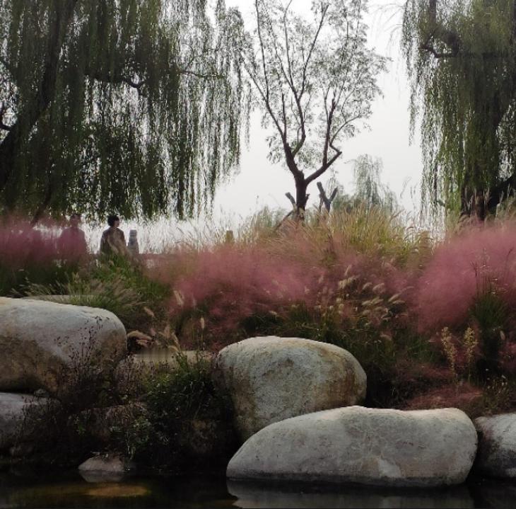 品读《山海经》557——《神州江湖》潦水
原文：
潦水出卫皋东，东南注渤海，入潦