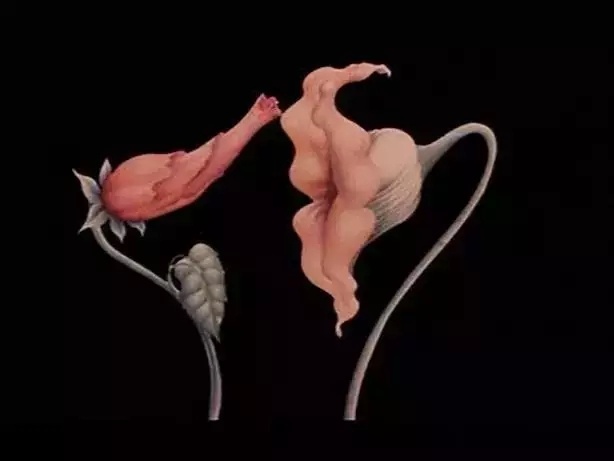 亚伦·派克根据平克·弗洛伊德乐队的作品拍出的《迷墙》，是当年的杰作之一。 