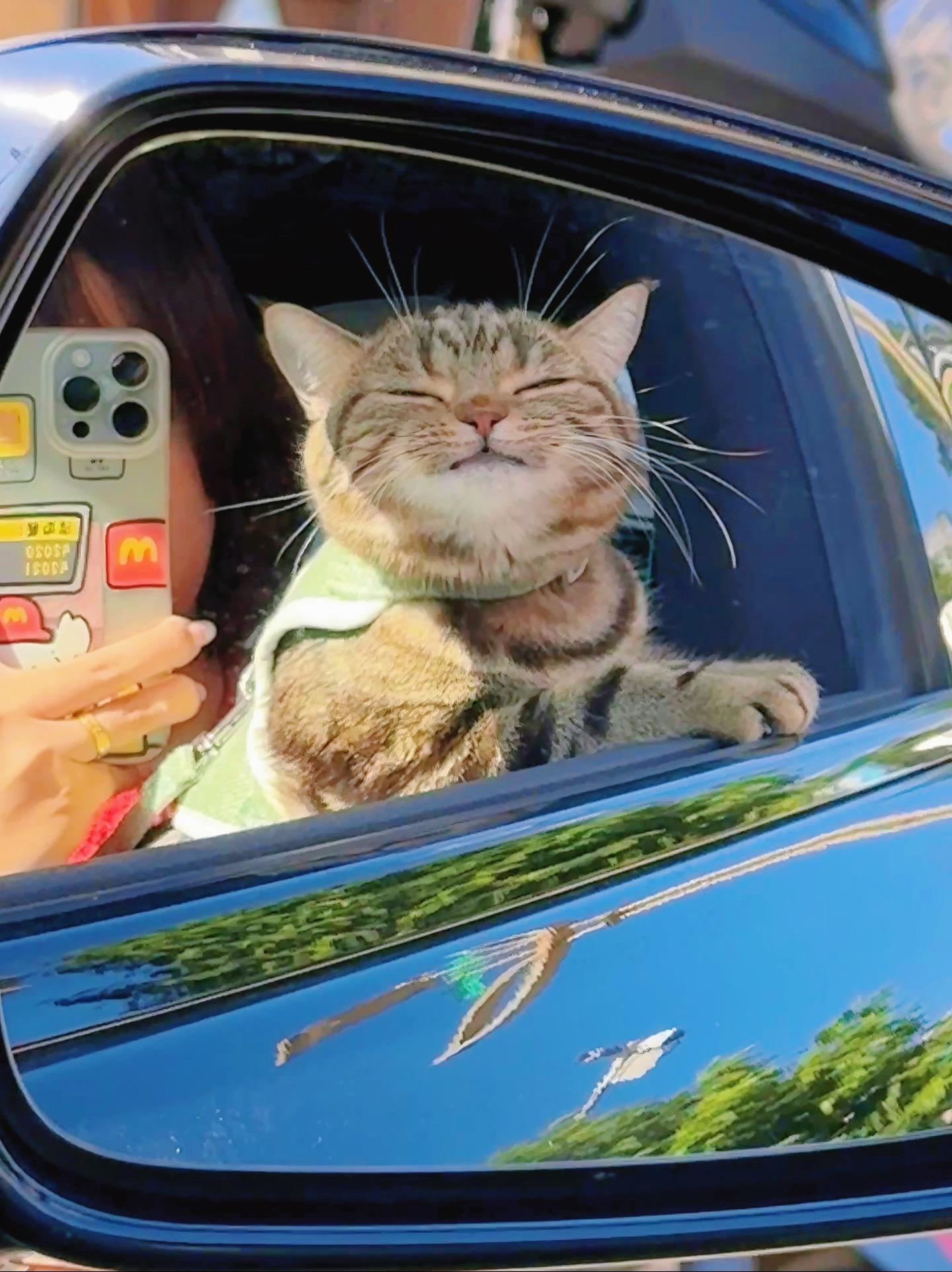 小猫喵喵叫！所以她叫小猫咪。