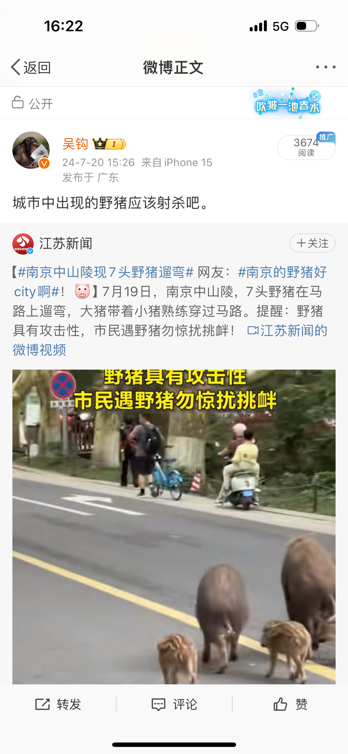 为什么我主张对出现在城市的野猪由有关部门进行射杀呢？是因为冷酷无情、思想极端吗？