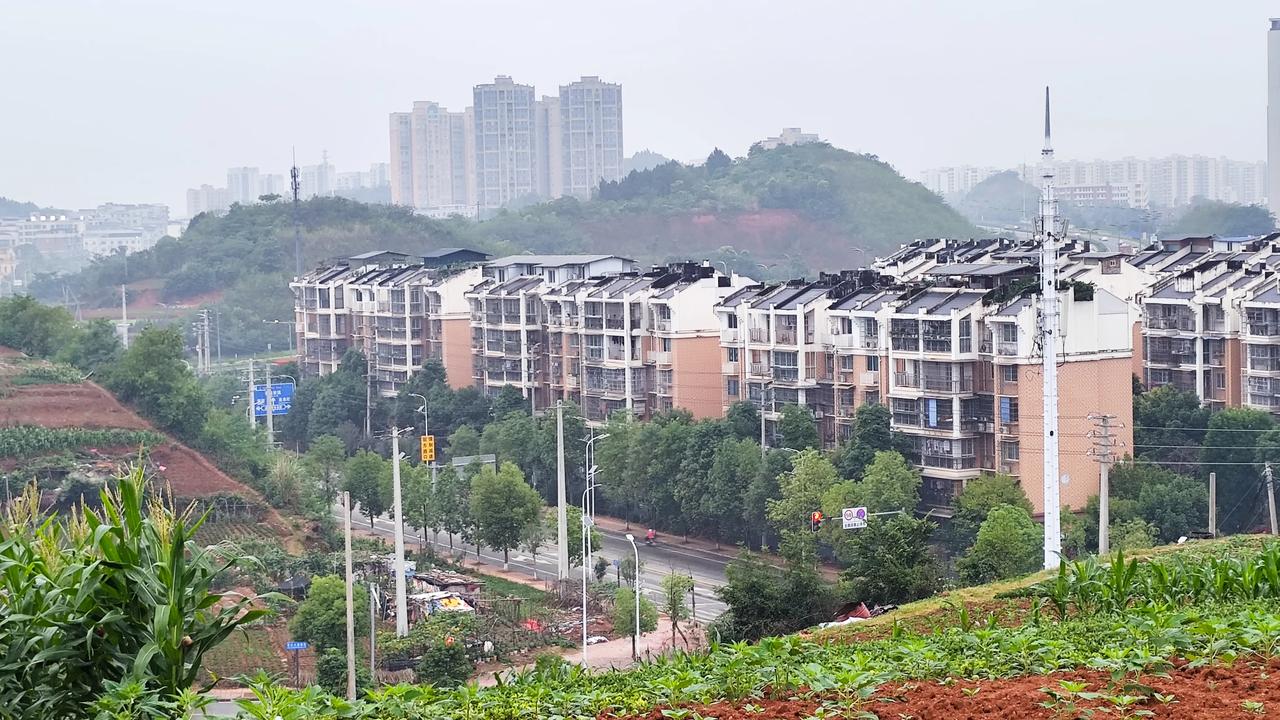 真心话茶局身边风景随手拍每日一图随手拍