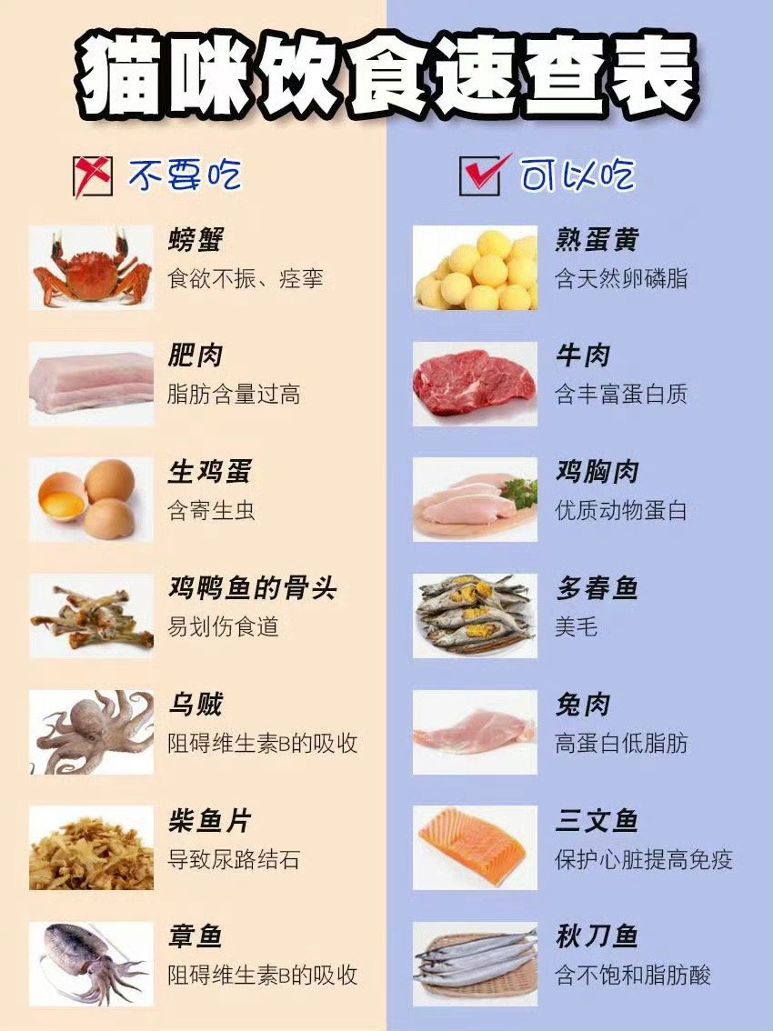 猫咪饮食速查表 ​​​