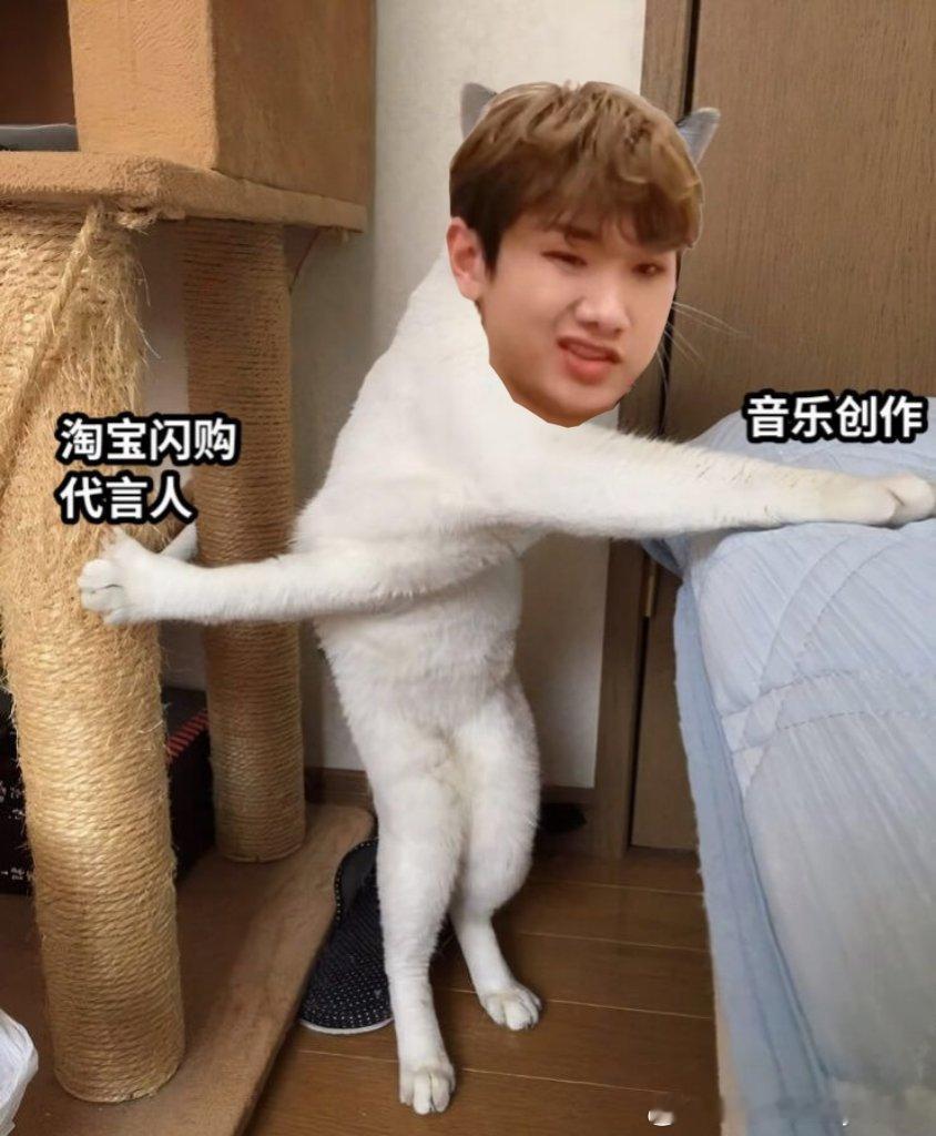 汪苏泷以后社交再也不怕尴尬了你怎么知道我收到了淘宝闪购和汪苏泷一起送来的奶茶免单