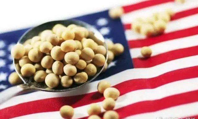 为什么美国的大豆离不开中国市场？
美国是世界上大豆产量和玉米产量最大的农业大国。