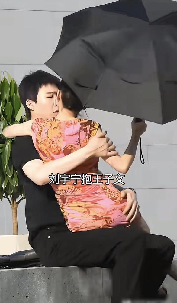 刘宇宁抱着王子文，那画面，说实话，不忍直视。一个189，一个159，物理距离再近