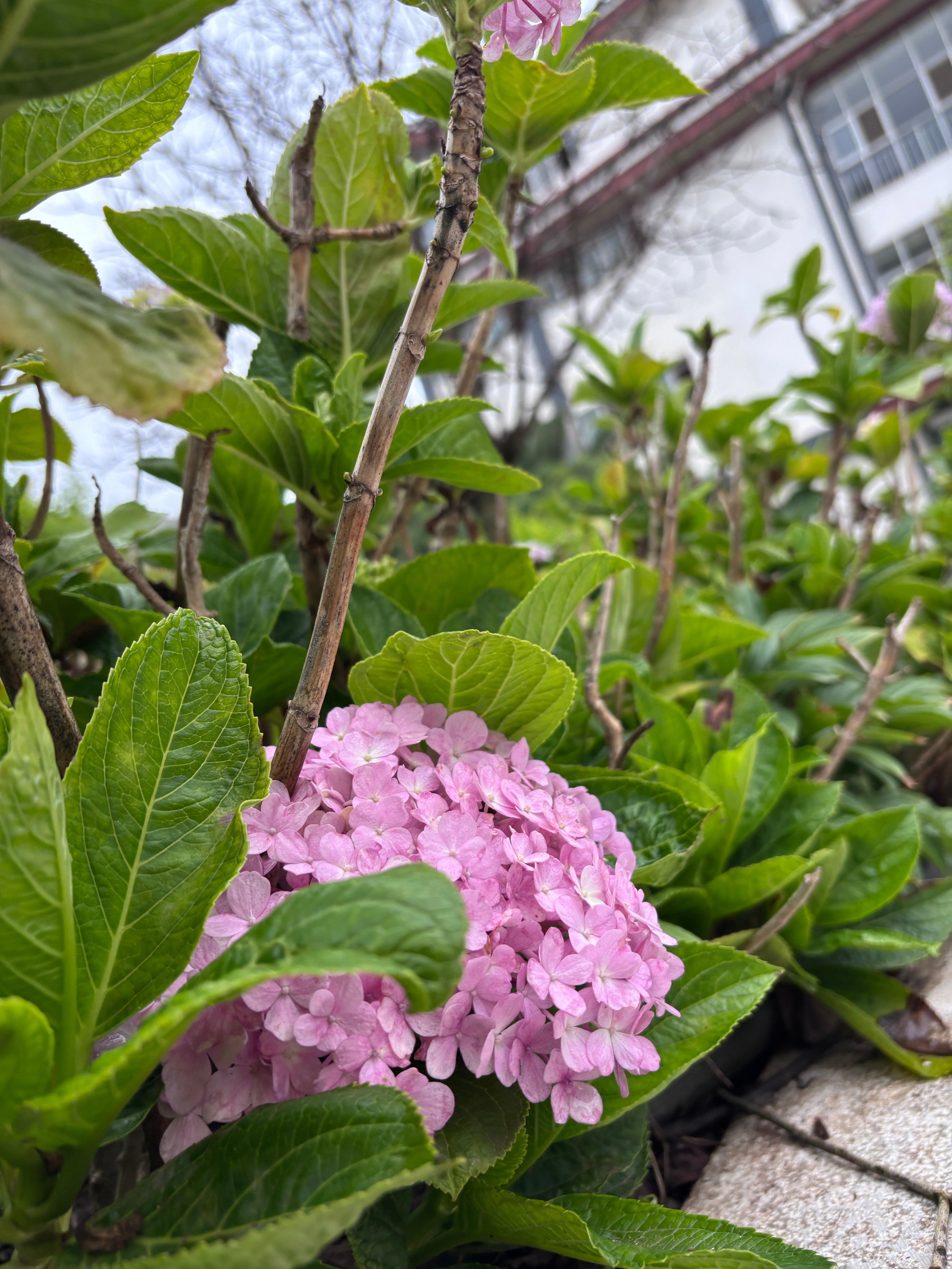 作者：毕淑敏出处：《我很重要》是的。我很重要。我们每一个人都应该有勇气这样说。我