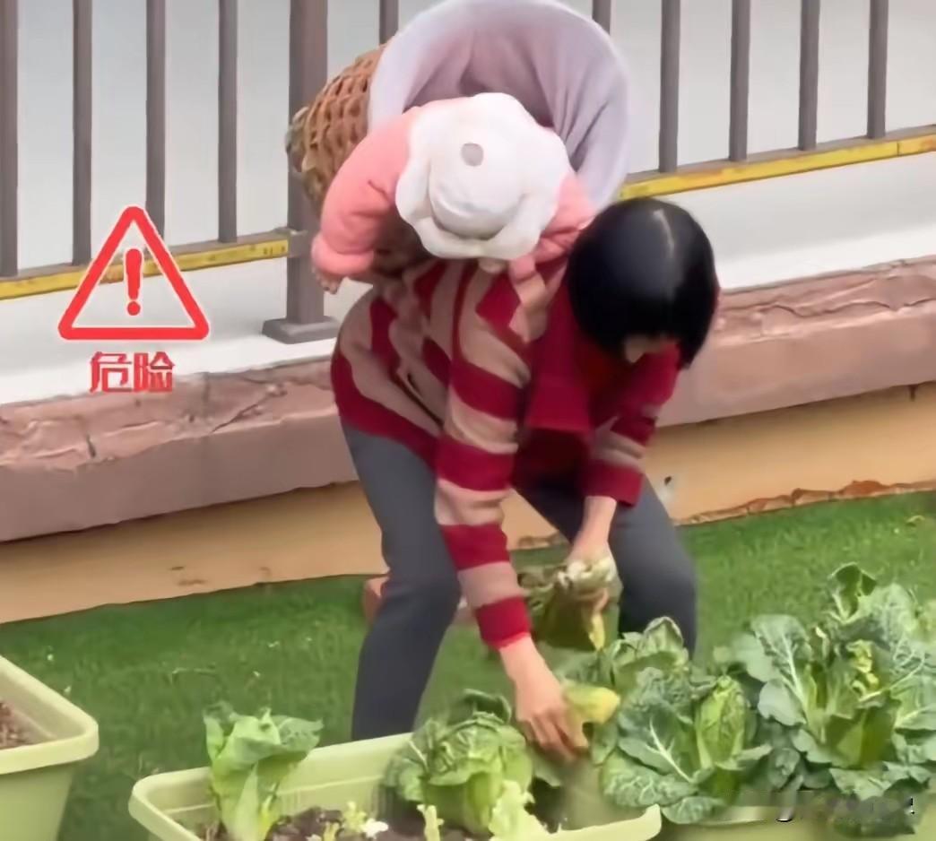 “心真大！”3月12日，重庆，一女子在自家阳台望风时，看到对面楼的一位阿婆在3楼