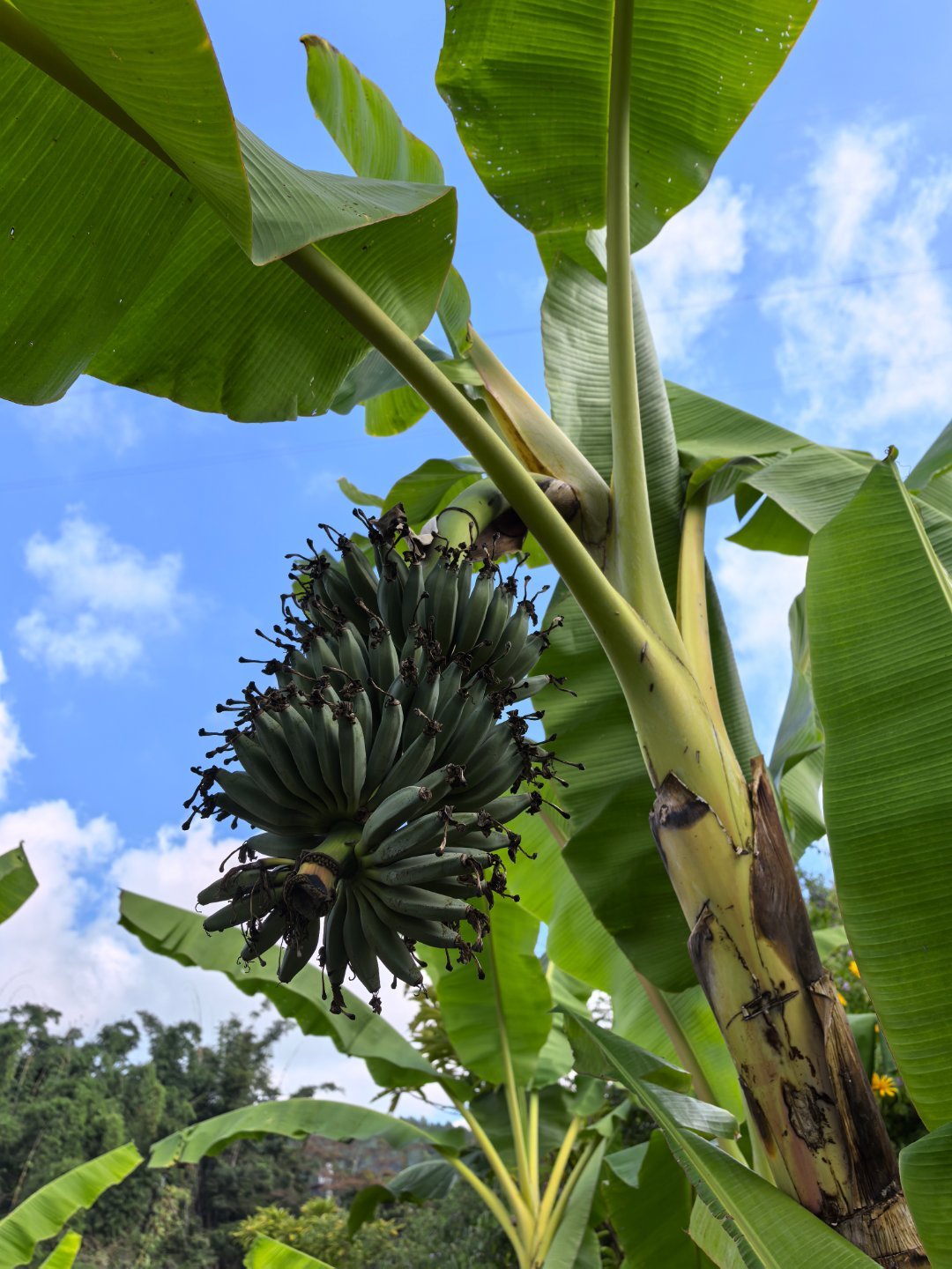 咖位云南 来云南之前，“彩云之南、心之所向”我是耳熟能详的，给大家拍点云南的日常