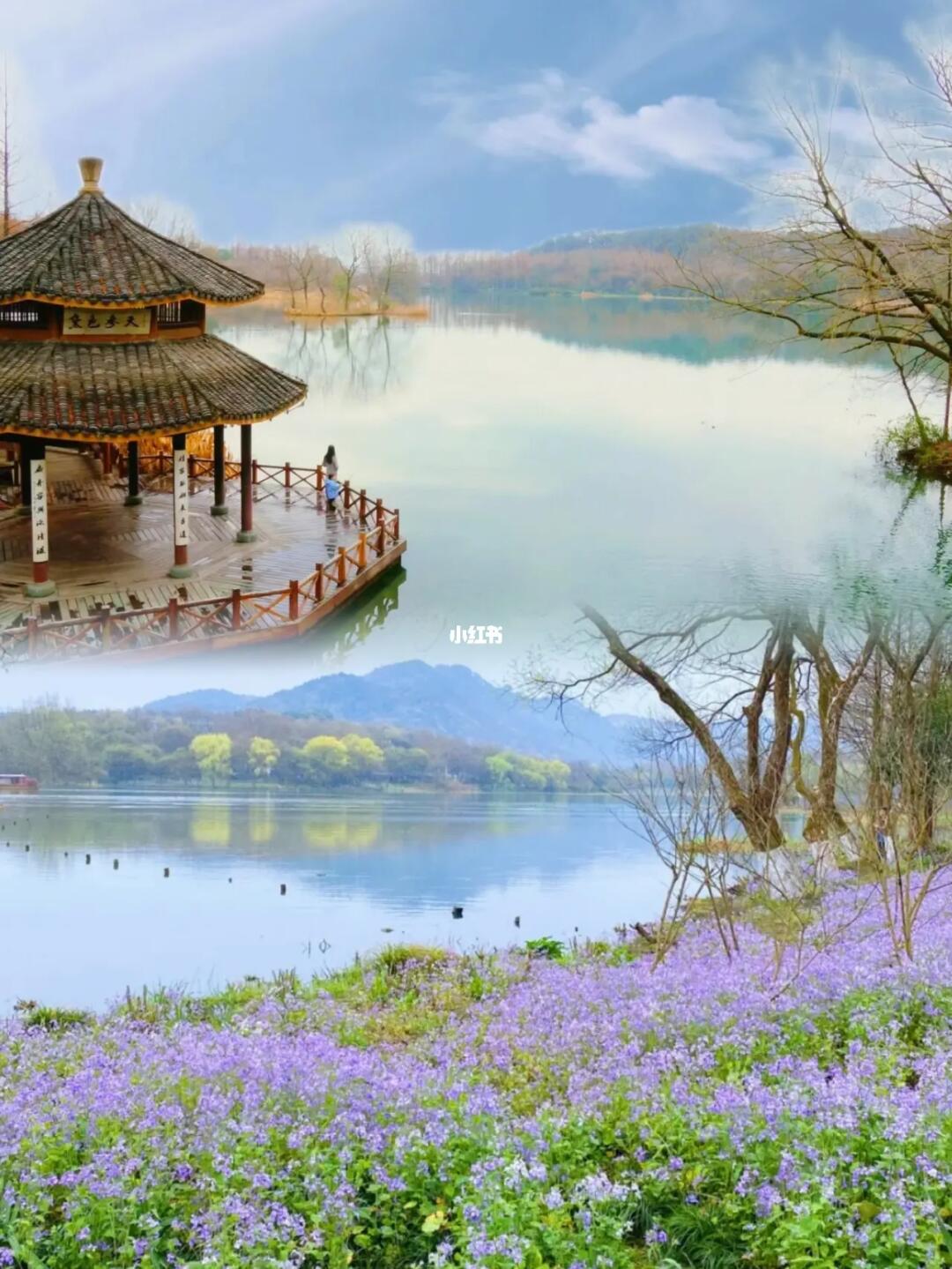 1年去20次/这是西湖边我最爱的人间仙境😋