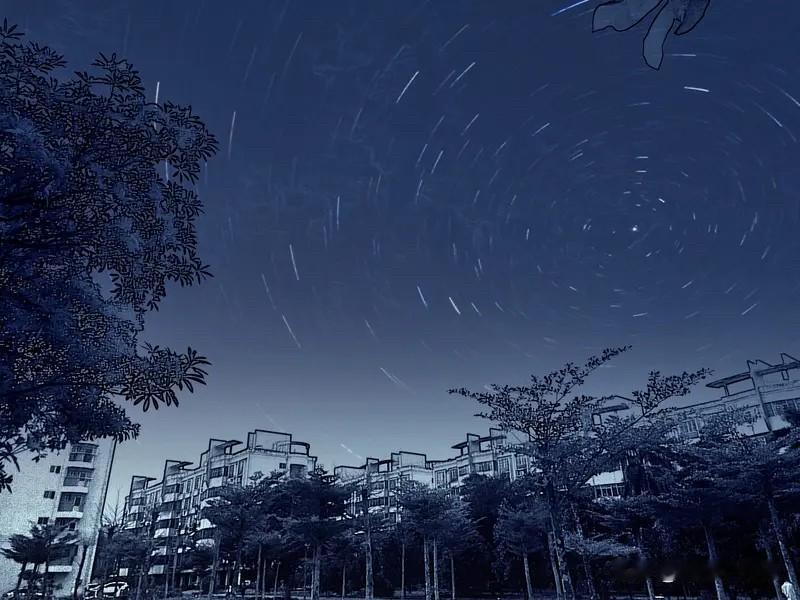 不必借光而行，你我皆是星辰。