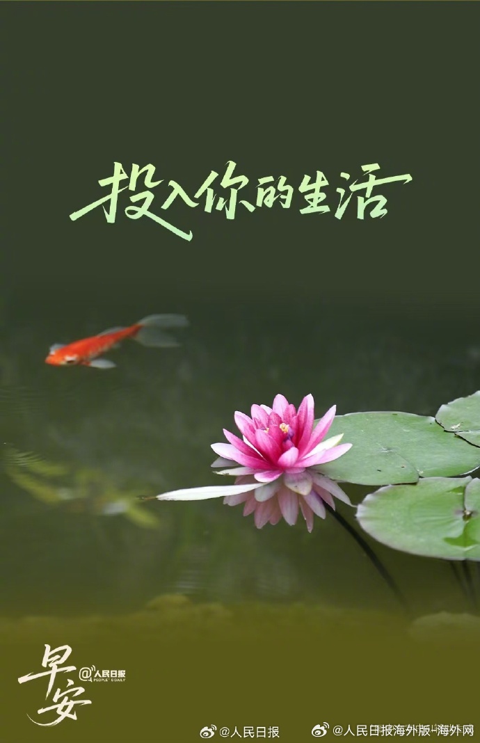 #向海外朋友问好# 【每一个当下，都值得全情投入】很多时候，我们好像都在“准备生