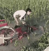 为了拍个视频，吸收点流量，一切无所不能[捂脸][捂脸]