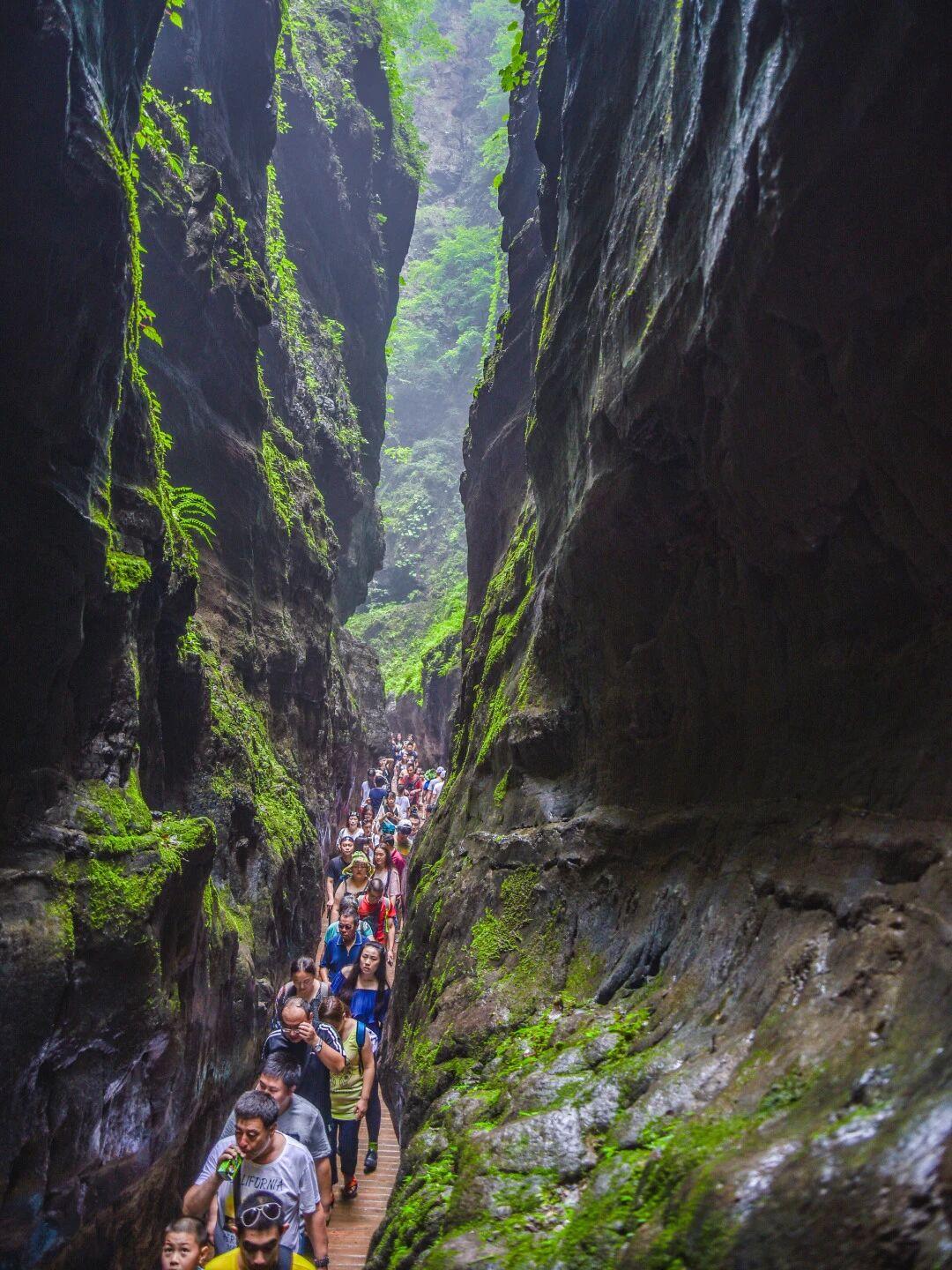 【人生如同旅行，超重的行李只会让你无法抵达远方。放下不是失去，而是为了更好地前行