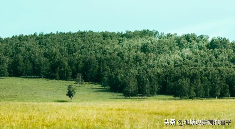 大自然里，森林步道和雅安的一些地方超养生。
森林步道是养生宝地。国家很重视，20