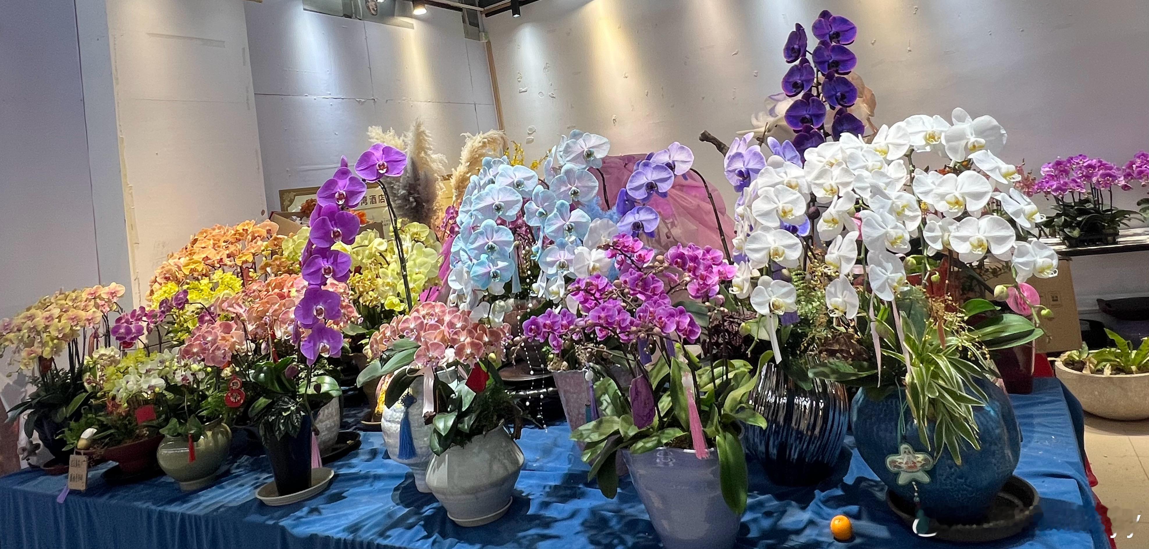 过年前我家附近花店的花太唯美浪漫了！ 用照片记录生活 花 遇见美好 ​​​