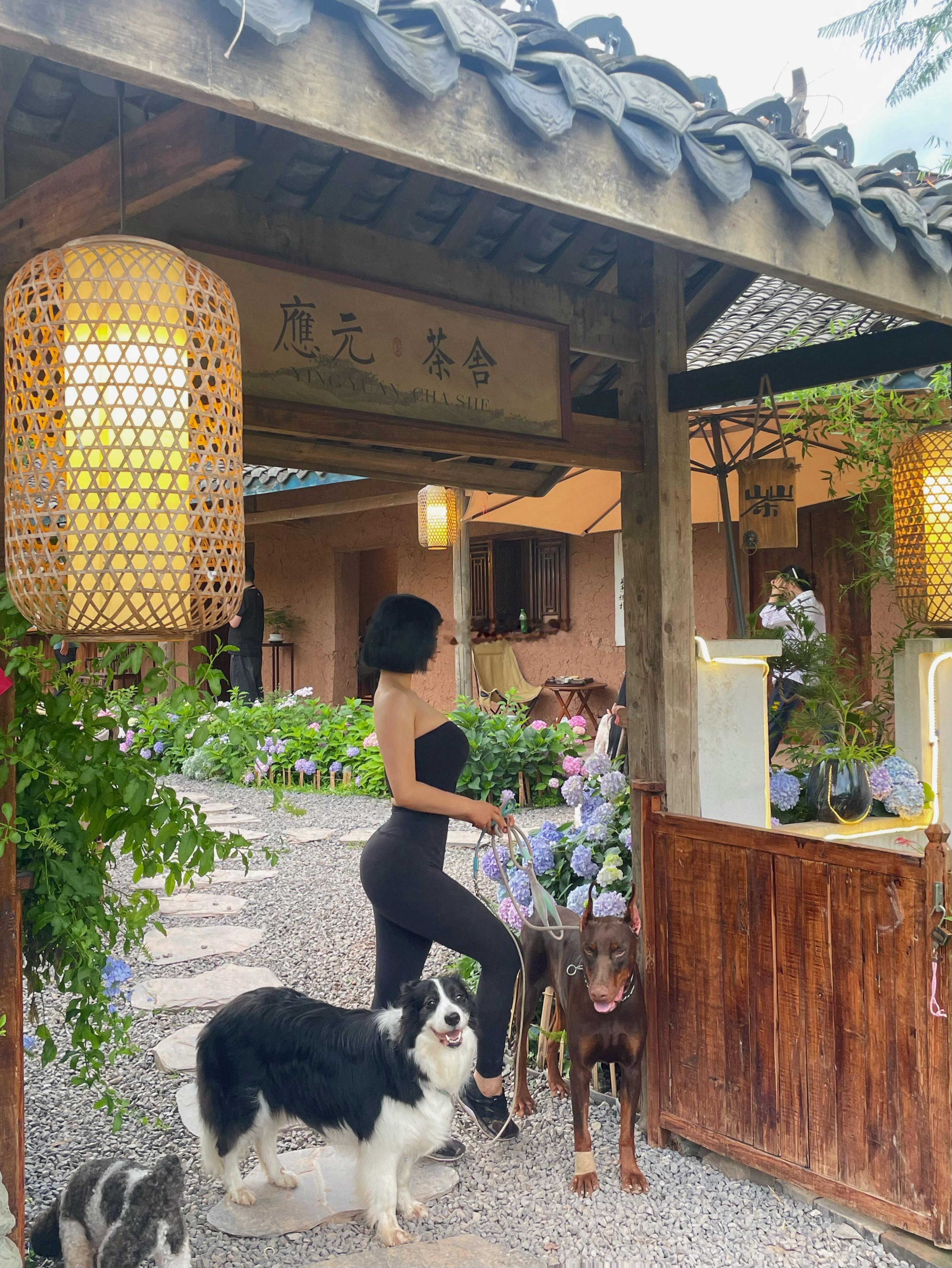 溜达溜达 ​​​