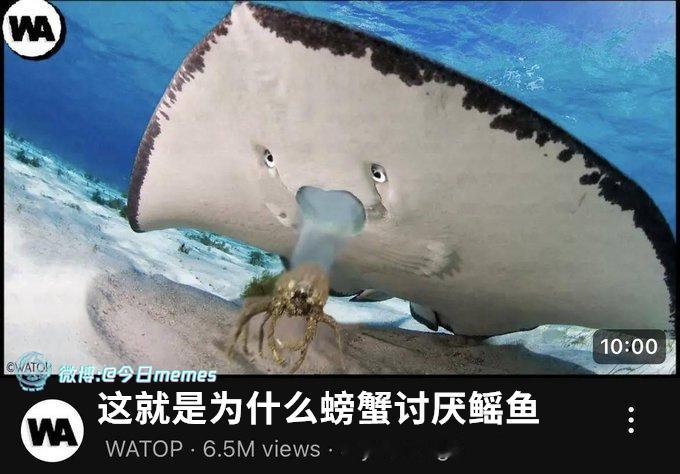 我的屎啊！！！！（9gag）哎呀 ​​​