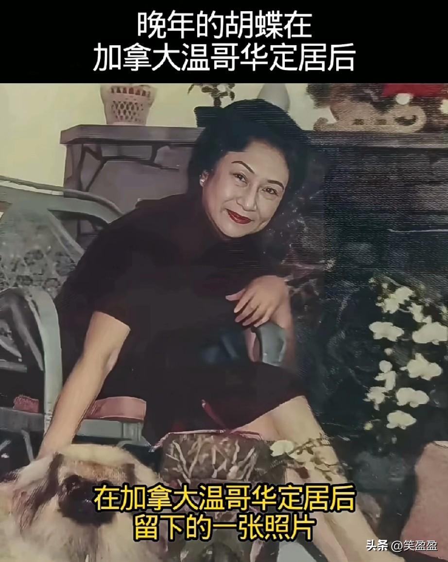 975年晚年的蝴蝶在加拿大温哥华定居后留下的一张照片，镜头中他坐在寓所的椅子上，